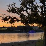 Sonnenuntergang am Rhein in Bonn